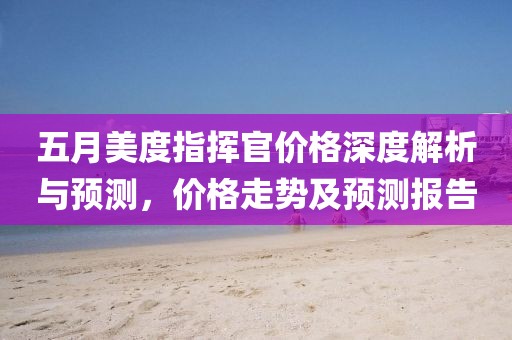 五月美度指挥官价格深度解析与预测，价格走势及预测报告