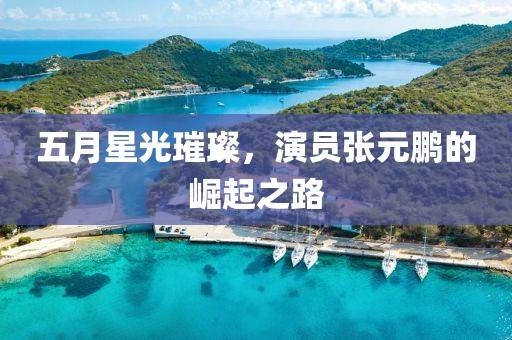 五月星光璀璨，演员张元鹏的崛起之路