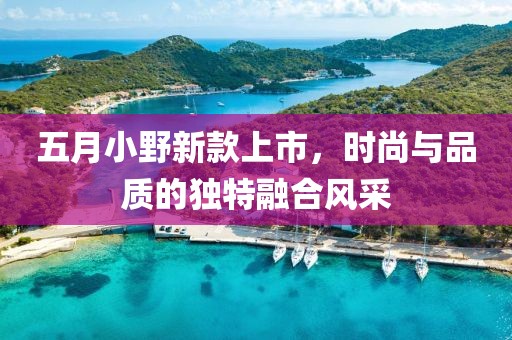 五月小野新款上市，时尚与品质的独特融合风采