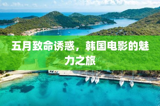 五月致命诱惑，韩国电影的魅力之旅