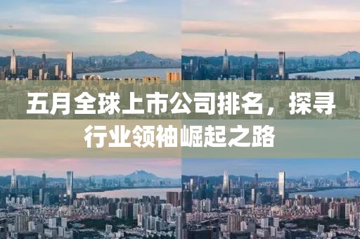 五月全球上市公司排名，探寻行业领袖崛起之路