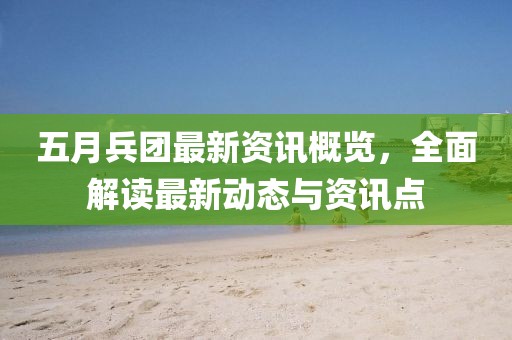 五月兵团最新资讯概览，全面解读最新动态与资讯点