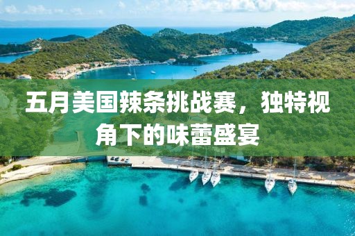 五月美国辣条挑战赛，独特视角下的味蕾盛宴