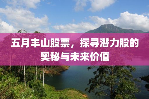五月丰山股票，探寻潜力股的奥秘与未来价值