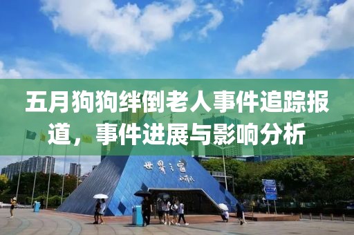 五月狗狗绊倒老人事件追踪报道，事件进展与影响分析
