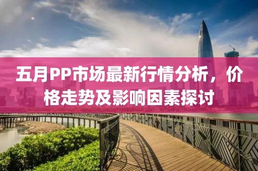 五月PP市场最新行情分析，价格走势及影响因素探讨