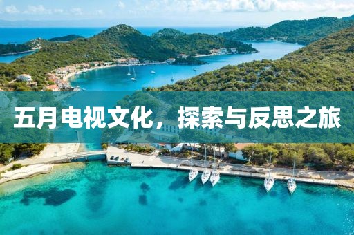 五月电视文化，探索与反思之旅