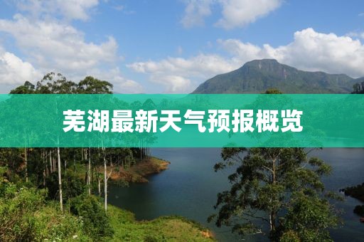 默然 第10页