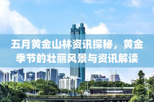 五月黄金山林资讯探秘，黄金季节的壮丽风景与资讯解读