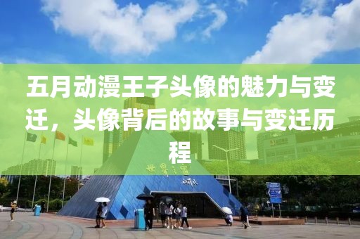 五月动漫王子头像的魅力与变迁，头像背后的故事与变迁历程