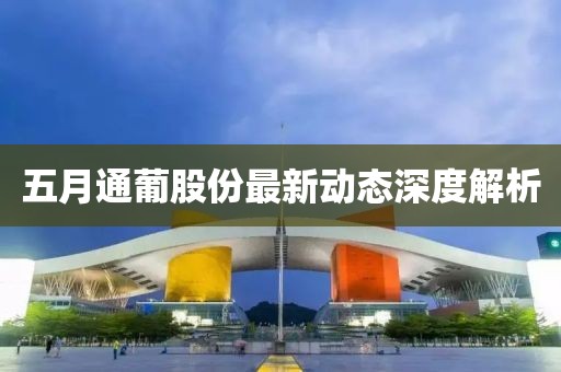 五月通葡股份最新动态深度解析