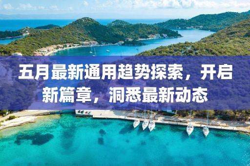 五月最新通用趋势探索，开启新篇章，洞悉最新动态