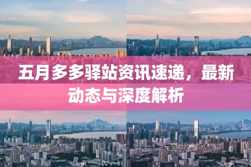 五月多多驿站资讯速递，最新动态与深度解析
