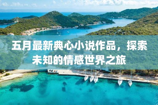 五月最新典心小说作品，探索未知的情感世界之旅