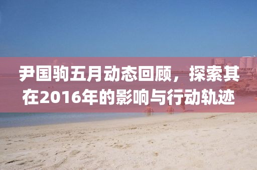 尹国驹五月动态回顾，探索其在2016年的影响与行动轨迹