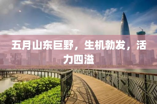 五月山东巨野，生机勃发，活力四溢