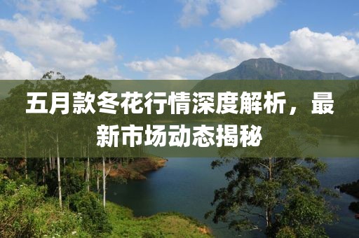 五月款冬花行情深度解析，最新市场动态揭秘