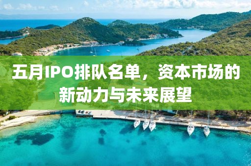五月IPO排队名单，资本市场的新动力与未来展望