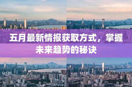 五月最新情报获取方式，掌握未来趋势的秘诀