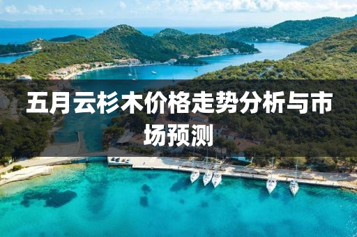 五月云杉木价格走势分析与市场预测