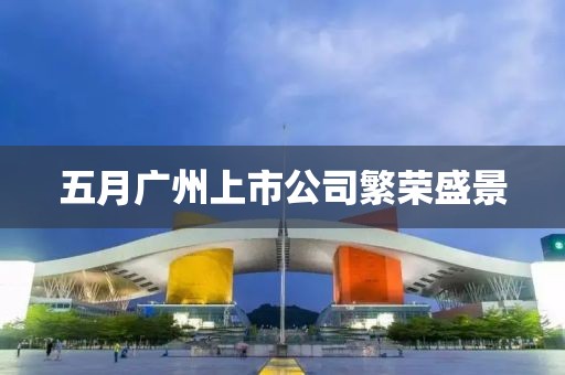 五月广州上市公司繁荣盛景
