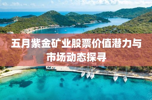 五月紫金矿业股票价值潜力与市场动态探寻