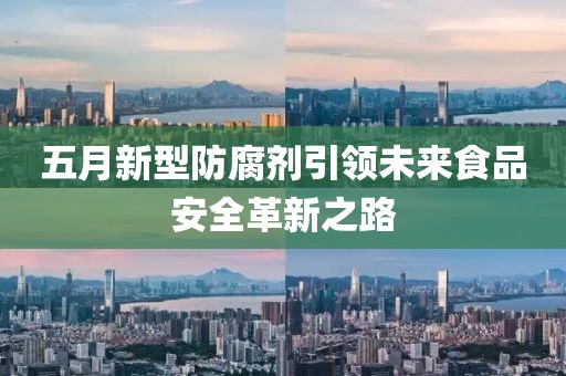 五月新型防腐剂引领未来食品安全革新之路