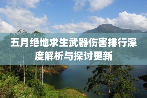 五月绝地求生武器伤害排行深度解析与探讨更新