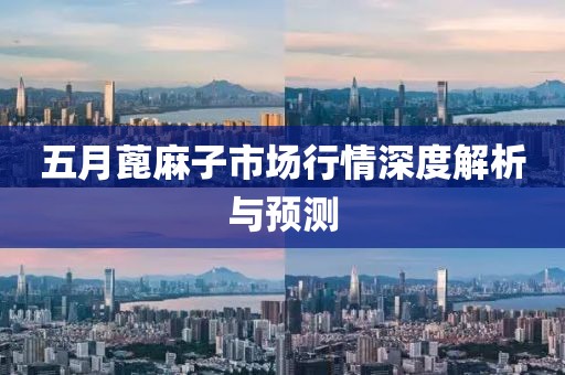 五月蓖麻子市场行情深度解析与预测