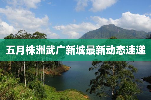 五月株洲武广新城最新动态速递