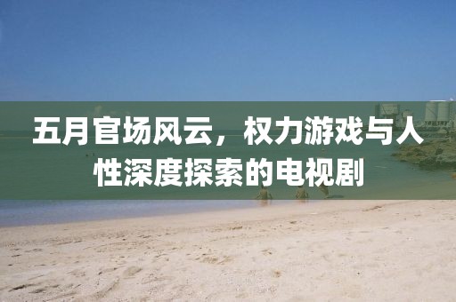 五月官场风云，权力游戏与人性深度探索的电视剧