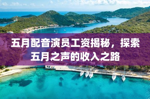 五月配音演员工资揭秘，探索五月之声的收入之路
