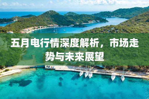 五月电行情深度解析，市场走势与未来展望