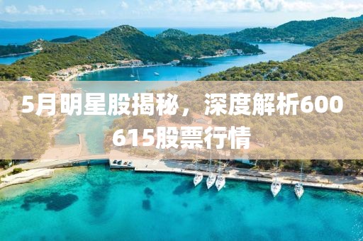 5月明星股揭秘，深度解析600615股票行情
