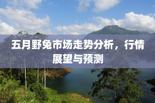 五月野兔市场走势分析，行情展望与预测
