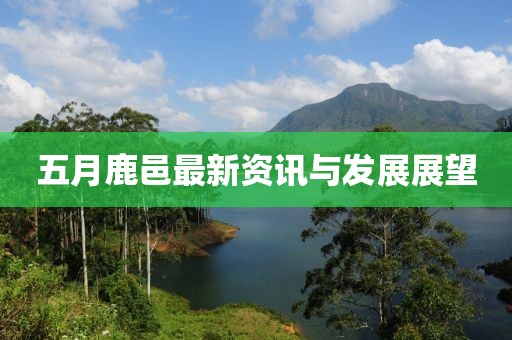 五月鹿邑最新资讯与发展展望