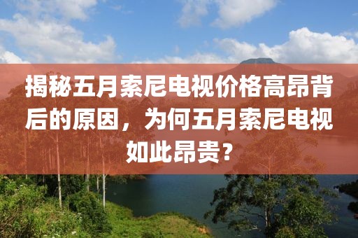 揭秘五月索尼电视价格高昂背后的原因，为何五月索尼电视如此昂贵？