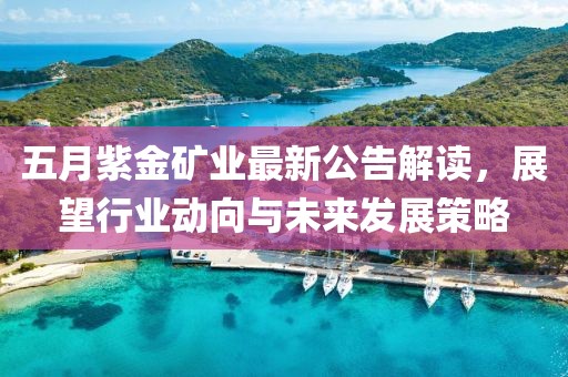 五月紫金矿业最新公告解读，展望行业动向与未来发展策略