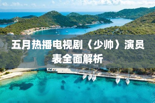 五月热播电视剧〈少帅〉演员表全面解析