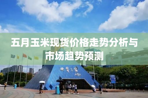 五月玉米现货价格走势分析与市场趋势预测
