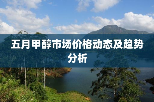 五月甲醇市场价格动态及趋势分析