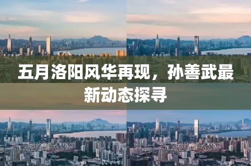五月洛阳风华再现，孙善武最新动态探寻