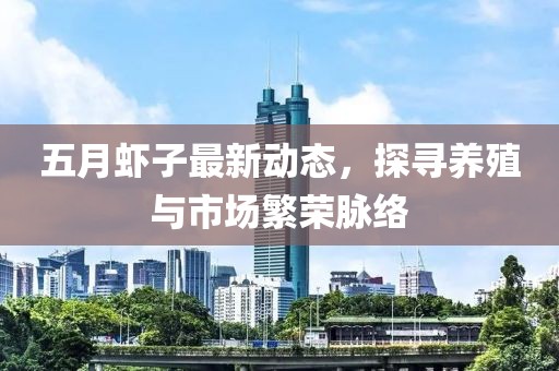 五月虾子最新动态，探寻养殖与市场繁荣脉络