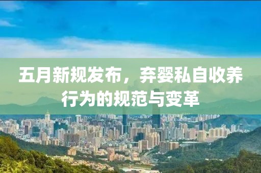 五月新规发布，弃婴私自收养行为的规范与变革