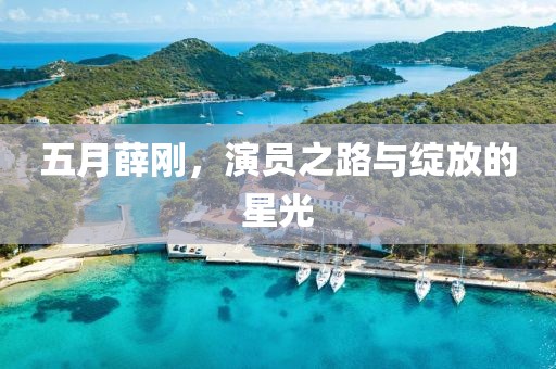 五月薛刚，演员之路与绽放的星光