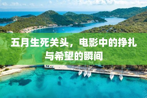 五月生死关头，电影中的挣扎与希望的瞬间