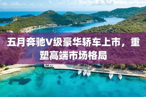 五月奔驰V级豪华轿车上市，重塑高端市场格局