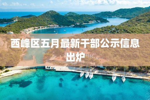 西峰区五月最新干部公示信息出炉