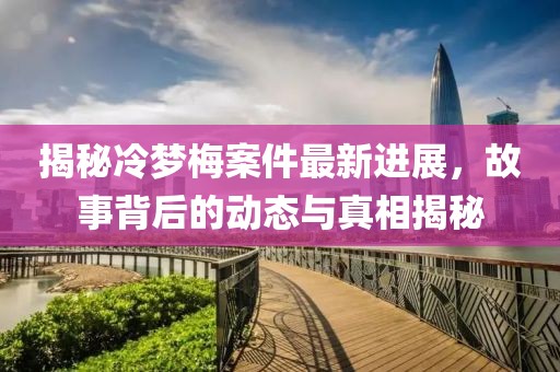 揭秘冷梦梅案件最新进展，故事背后的动态与真相揭秘