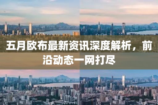 五月欧布最新资讯深度解析，前沿动态一网打尽